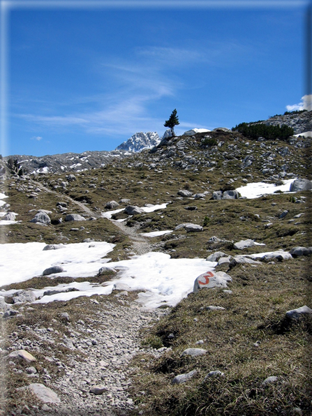 foto Dolomiti in Alta Pusteria